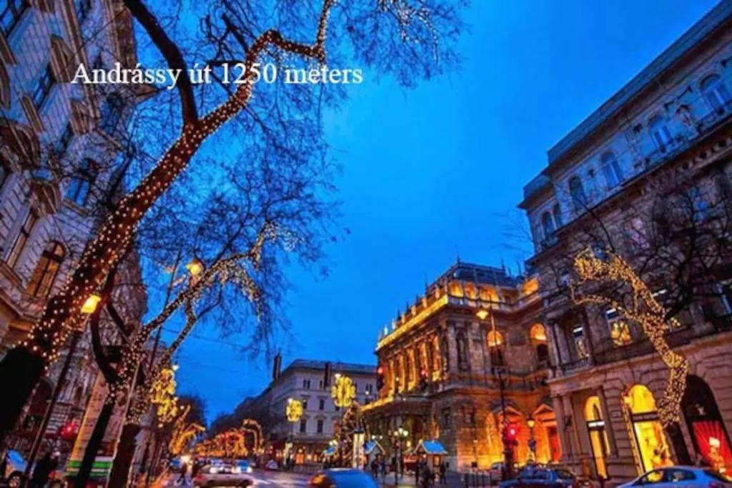 Keleti Apartment City Center Big Flat Bedroom Private Use Budapest Esterno foto